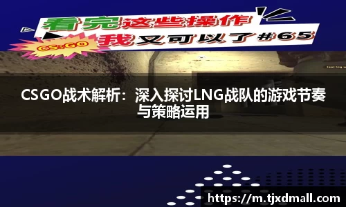77体育电脑版