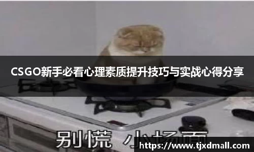 CSGO新手必看心理素质提升技巧与实战心得分享