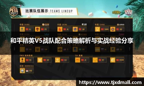 和平精英V5战队配合策略解析与实战经验分享