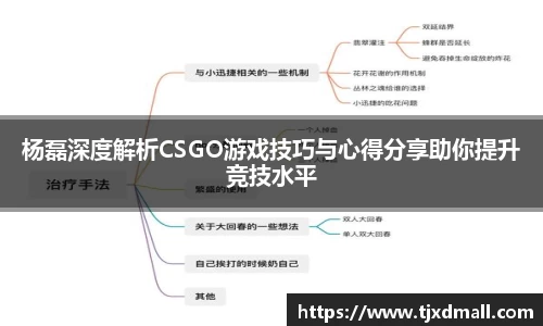 杨磊深度解析CSGO游戏技巧与心得分享助你提升竞技水平
