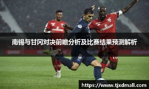 南锡与甘冈对决前瞻分析及比赛结果预测解析