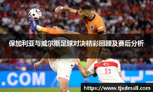 77体育app下载官网