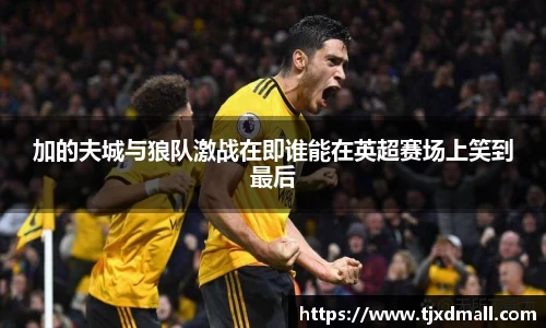 加的夫城与狼队激战在即谁能在英超赛场上笑到最后