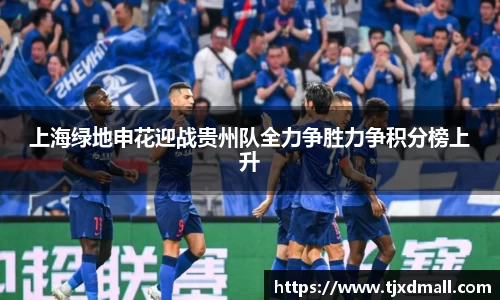 上海绿地申花迎战贵州队全力争胜力争积分榜上升
