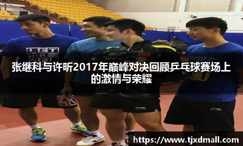 张继科与许昕2017年巅峰对决回顾乒乓球赛场上的激情与荣耀