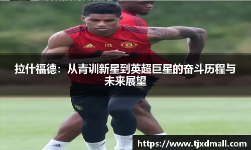 77体育官网
