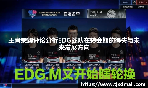 王者荣耀评论分析EDG战队在转会期的得失与未来发展方向